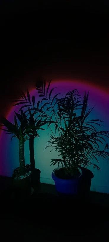 Sphere Lights™ - 961stores