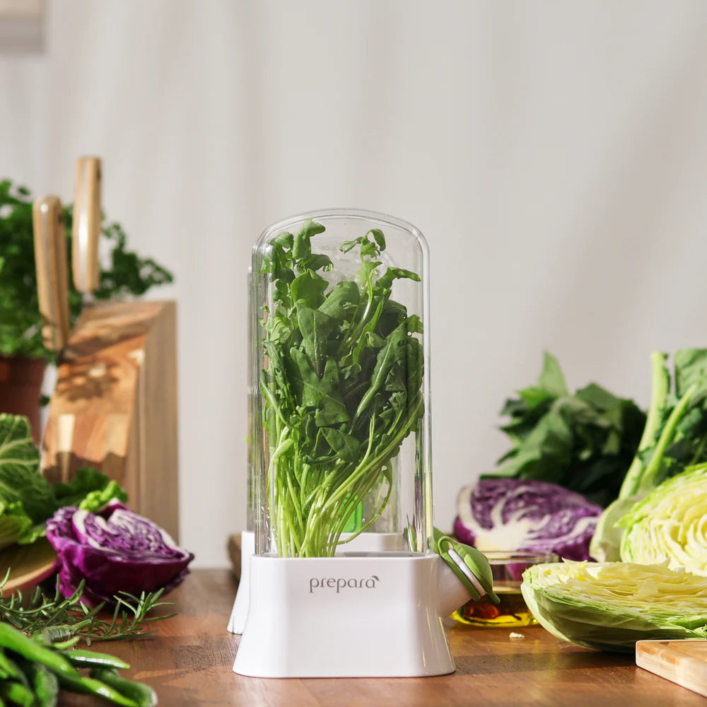 Fresh Herb Preserver