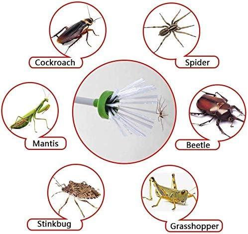 Bug Buster | Spider Catcher - 961stores