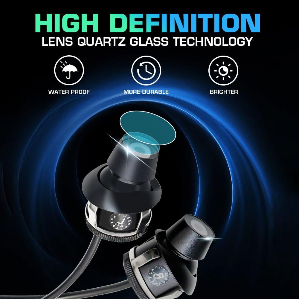 Car Angel Wings Light