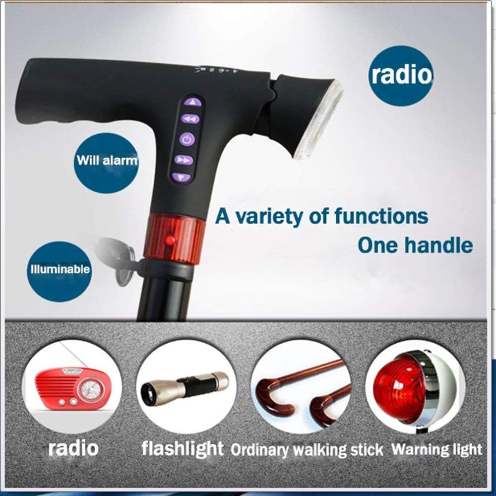 Multifunctional Smart Cane