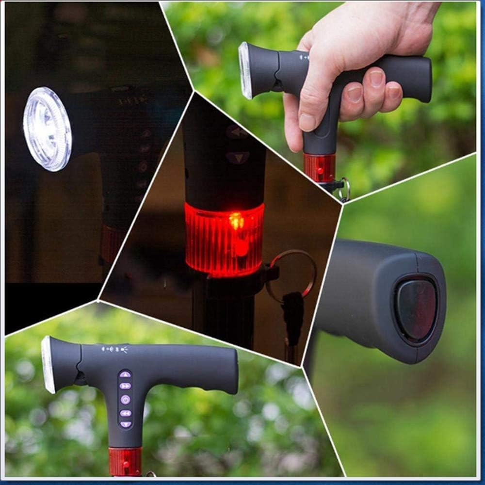 Multifunctional Smart Cane