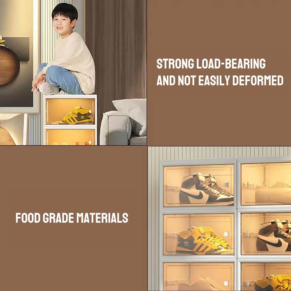 Modern Transparent Shoe Box