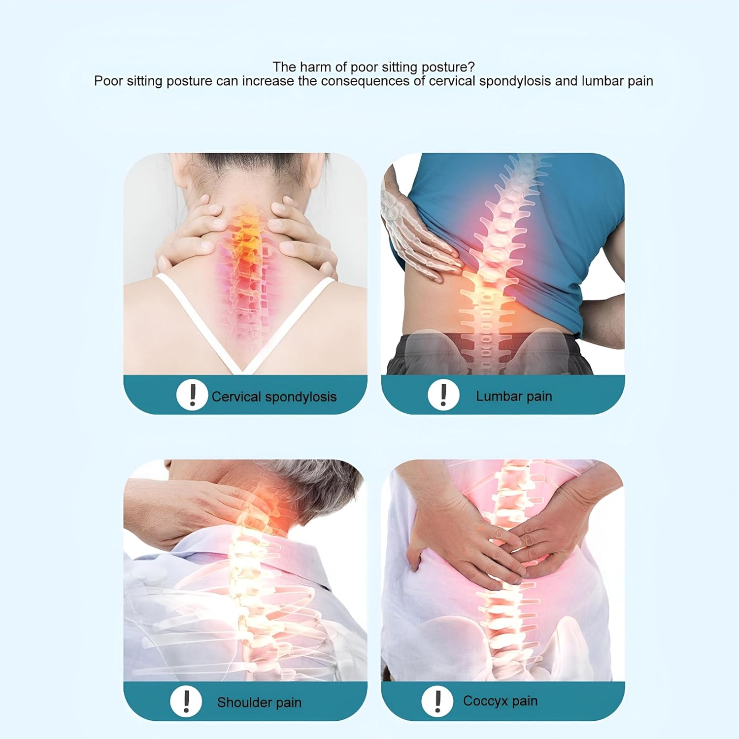 Petal Back Support Cushion