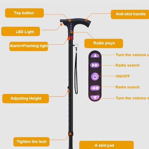 Multifunctional Smart Cane