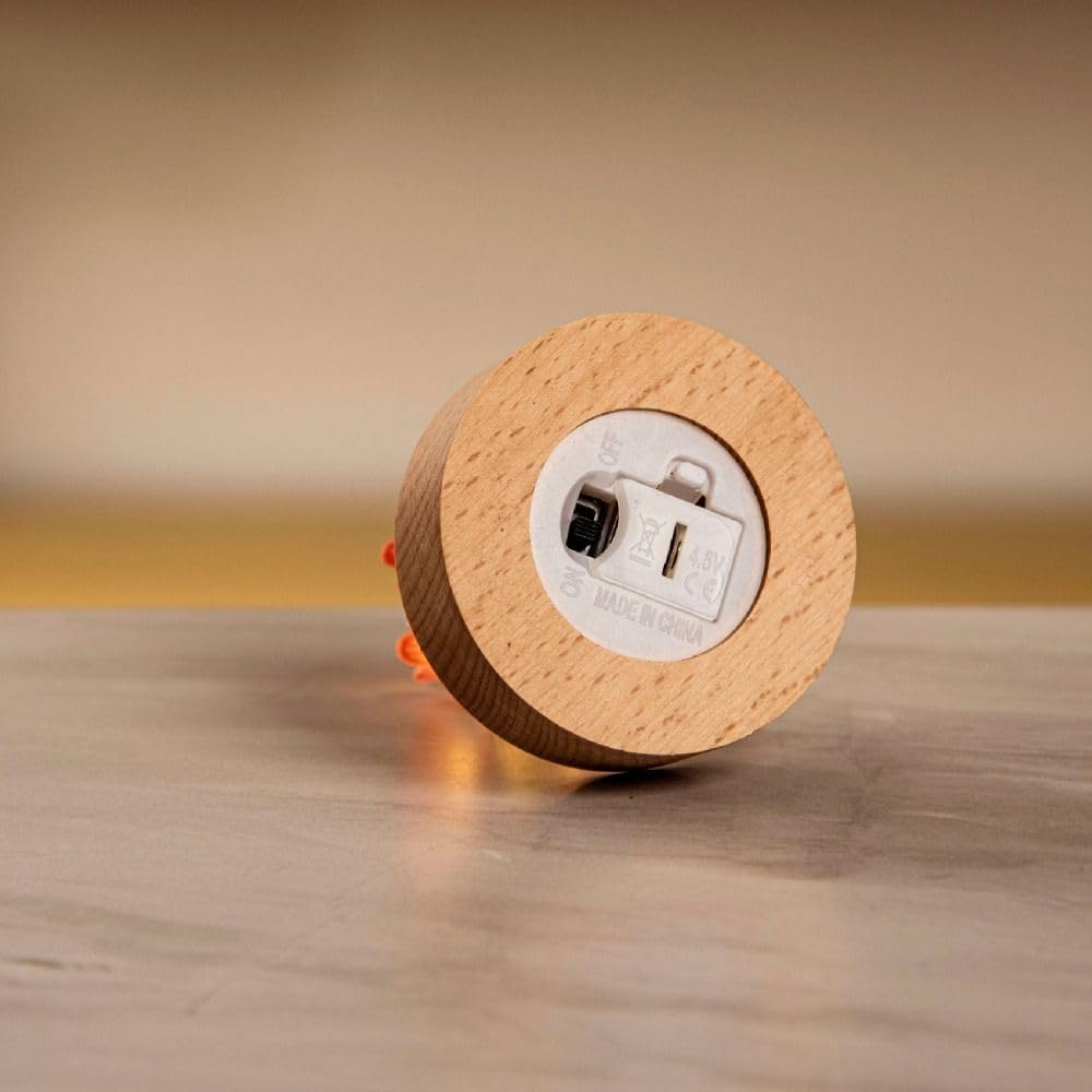 Tulip Glass Dome Light