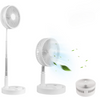 Expandable Folding Standing Fan