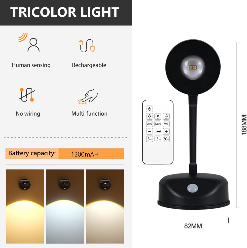 Motion Sensor Rechargeable Wall Light