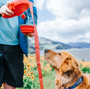 4-in-1 Retractable Dog Leash