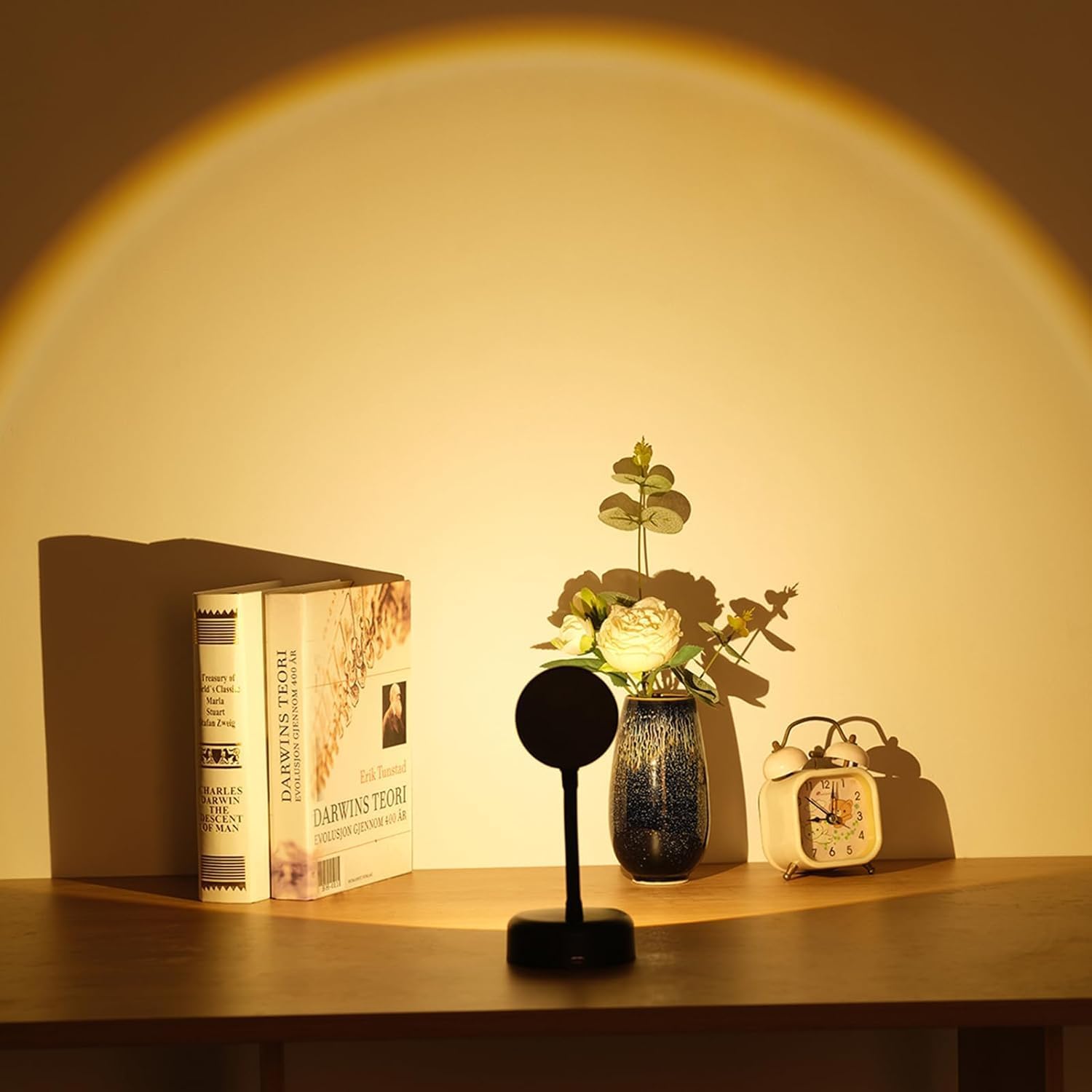 Motion Sensor Rechargeable Wall Light