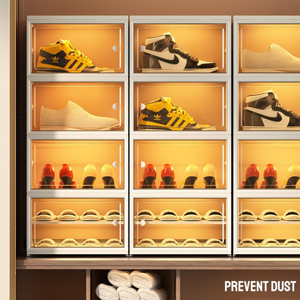 Modern Transparent Shoe Box