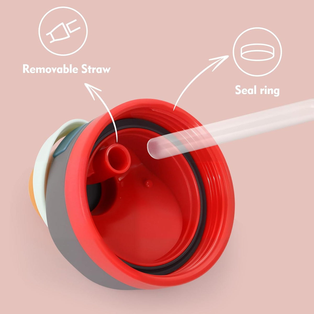 Insulated Stainless Steel Bottle with 2-in-1 Lid