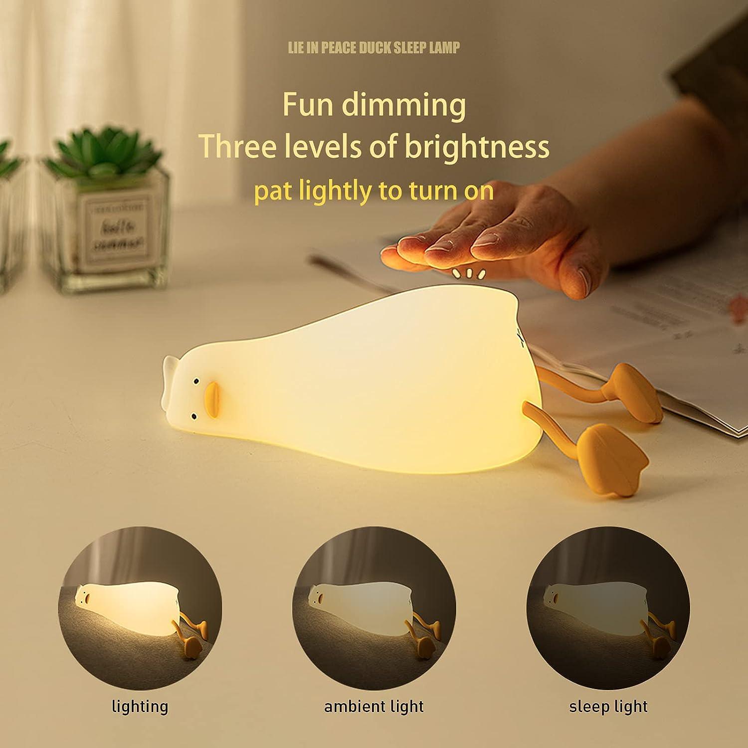 Duck Lamp - 961stores