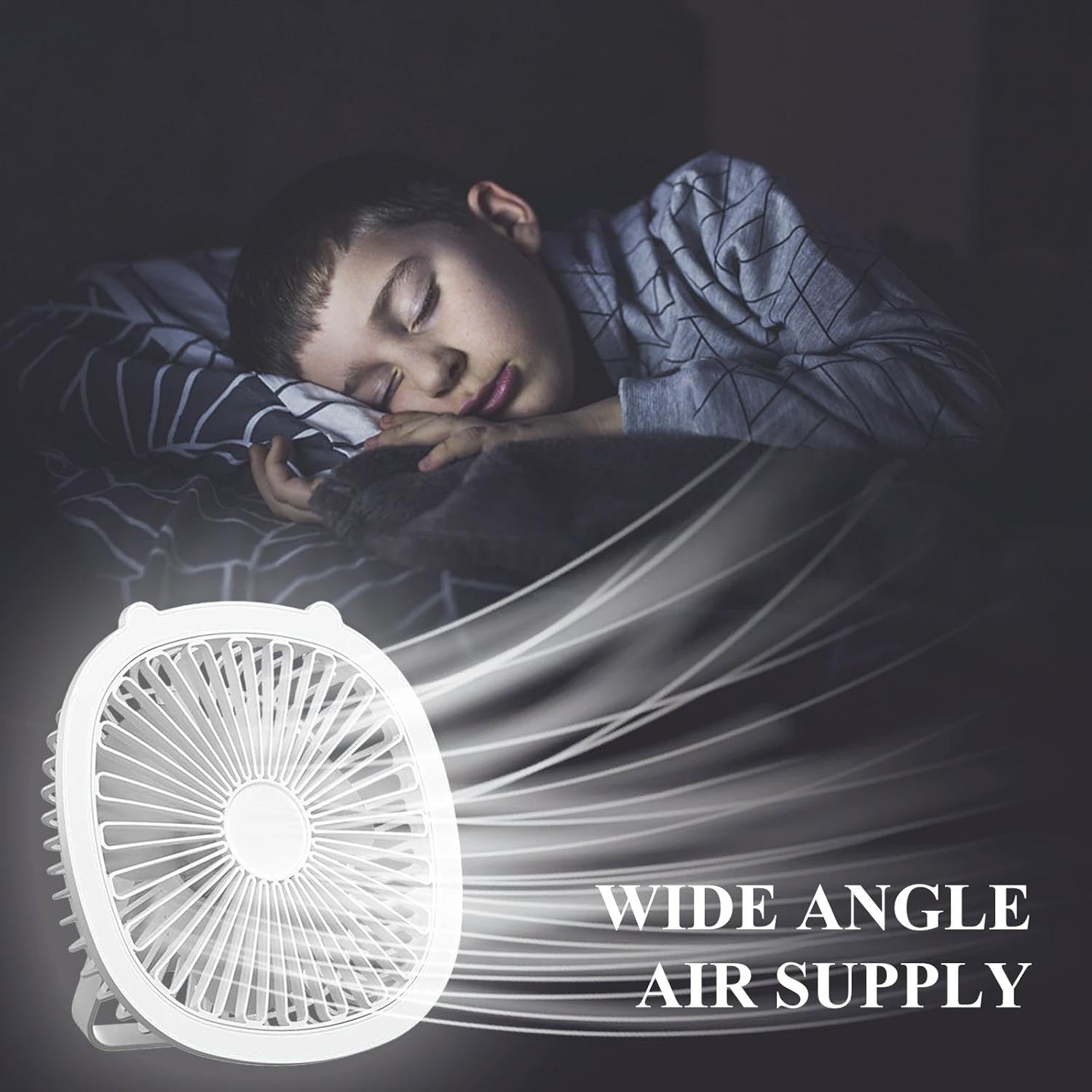 2 in 1 Fan + LED Light