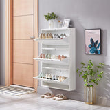 Shoe Storage Cabinet