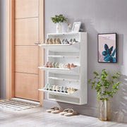 Shoe Storage Cabinet