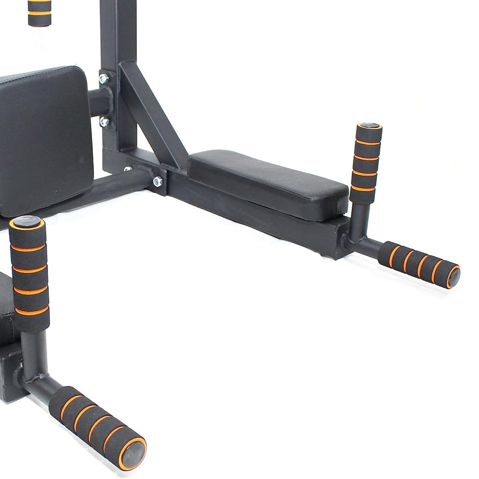 Wall Mounted Pull-Up and Dip Station