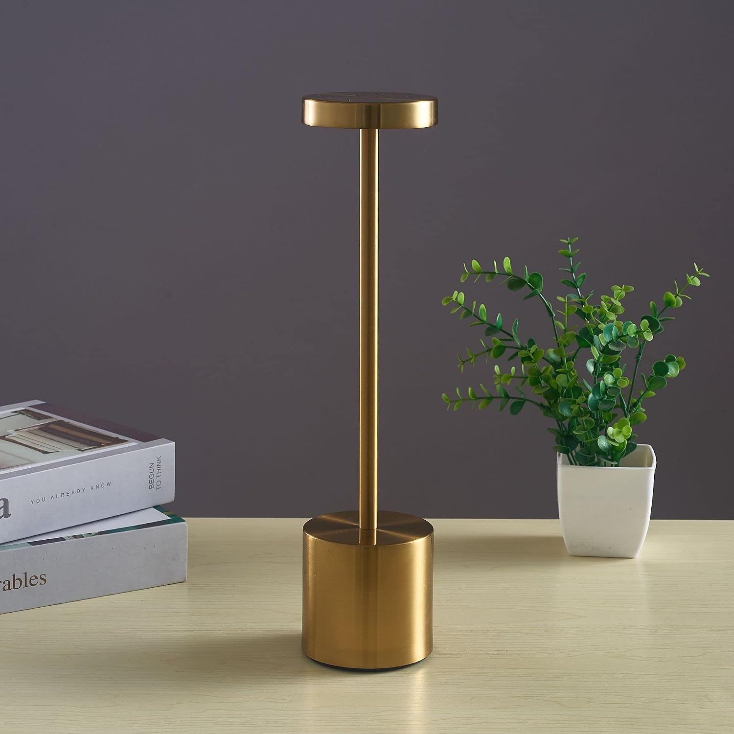 Rechargeable Touch Table Lamp