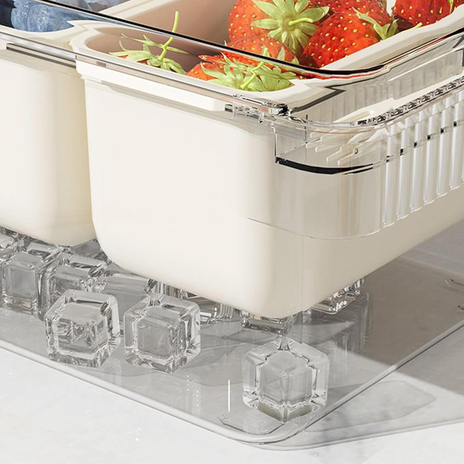 5 in 1 Transparent Storage Containers