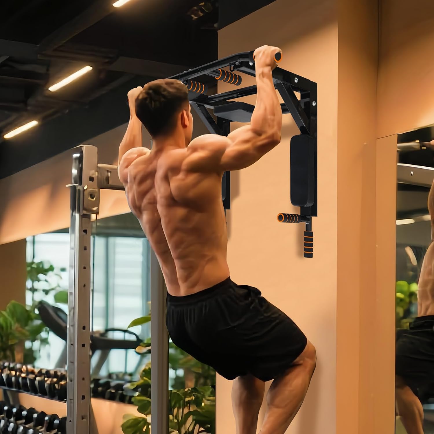 Wall Mounted Pull-Up and Dip Station