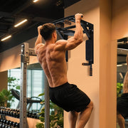 Wall Mounted Pull-Up and Dip Station