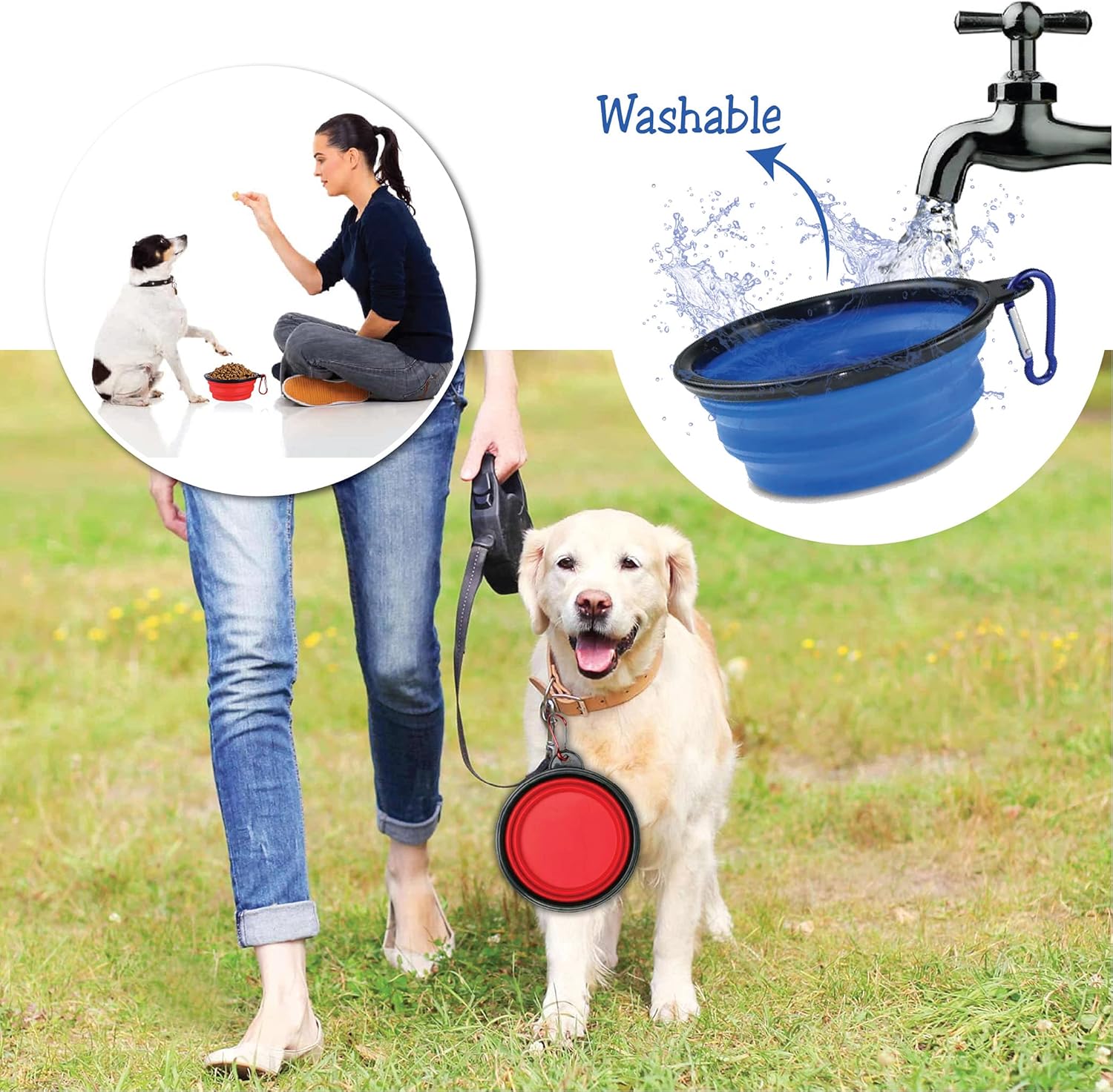 4-in-1 Retractable Dog Leash