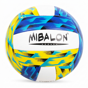 Volleyball Ball