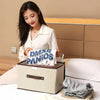 Foldable Storage Box