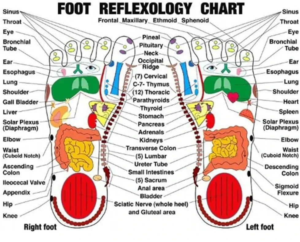 Reflexology Socks and Massage Stick Set