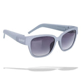 Hidden Money Storage Glasses