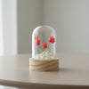 Tulip Glass Dome Light