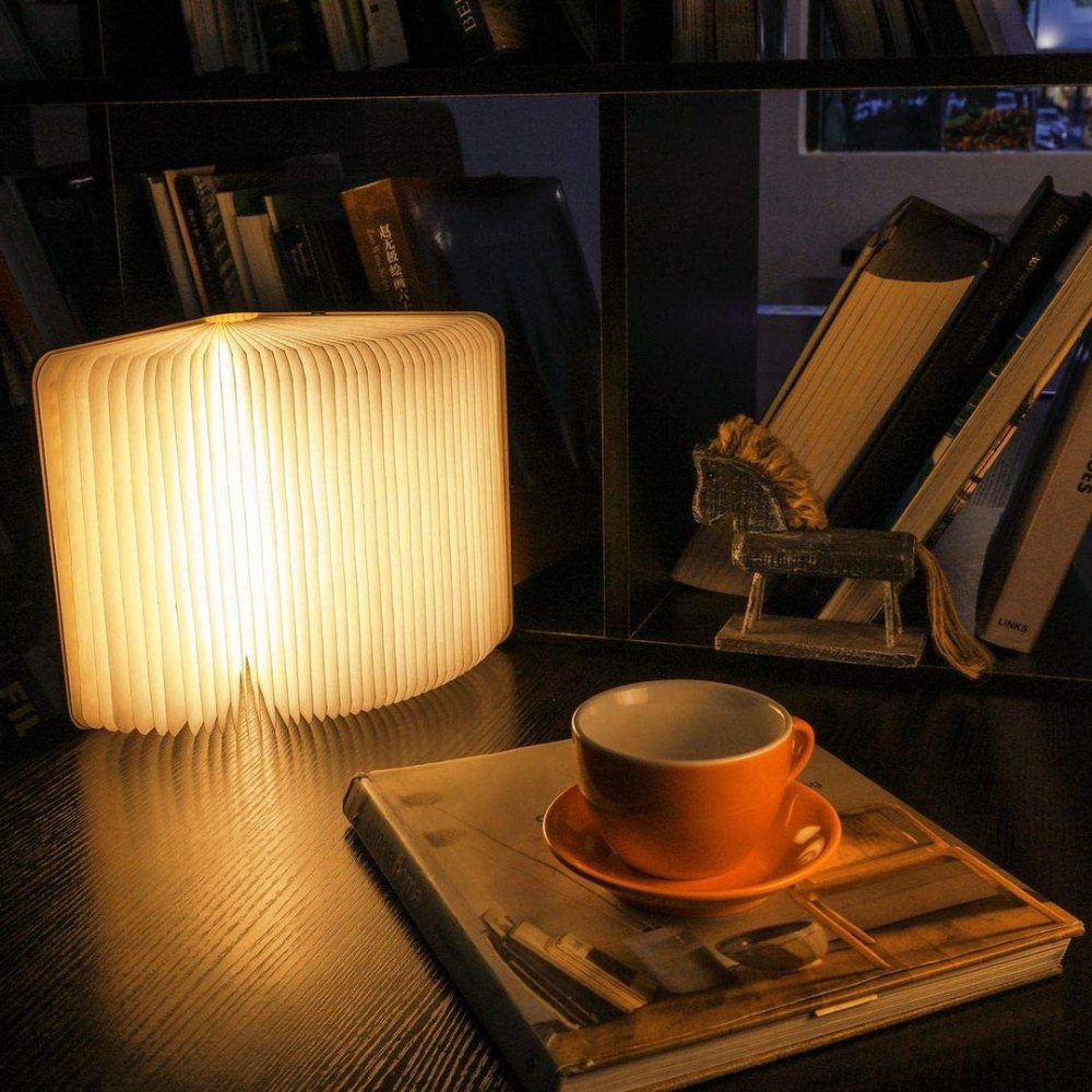 USB Rechargeable Book Lamp