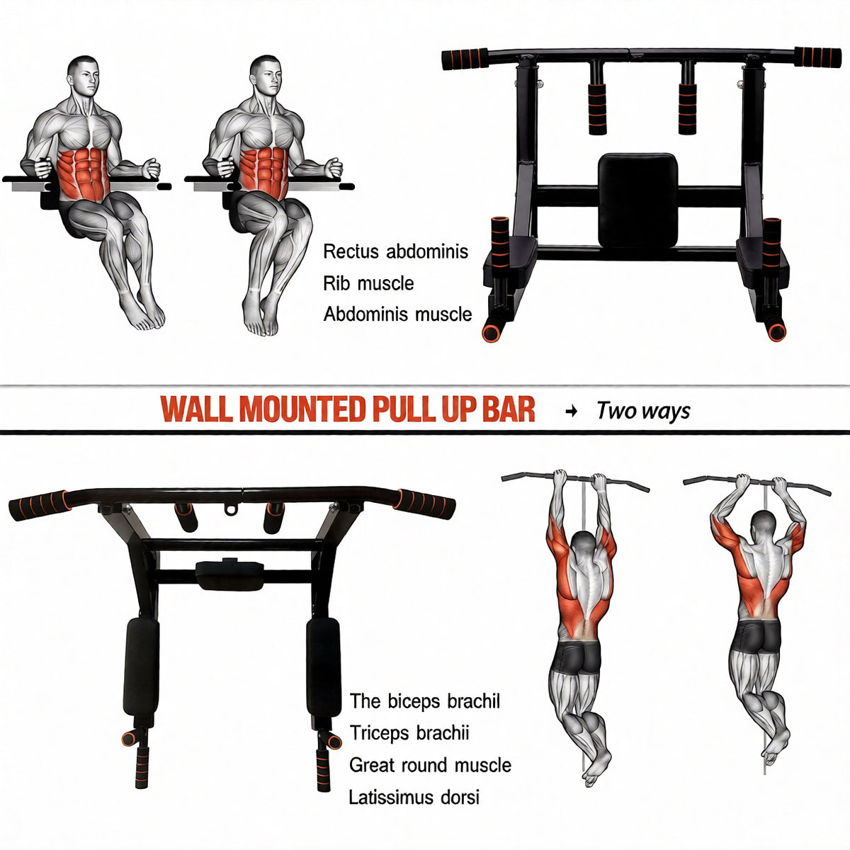 Wall Mounted Pull-Up and Dip Station