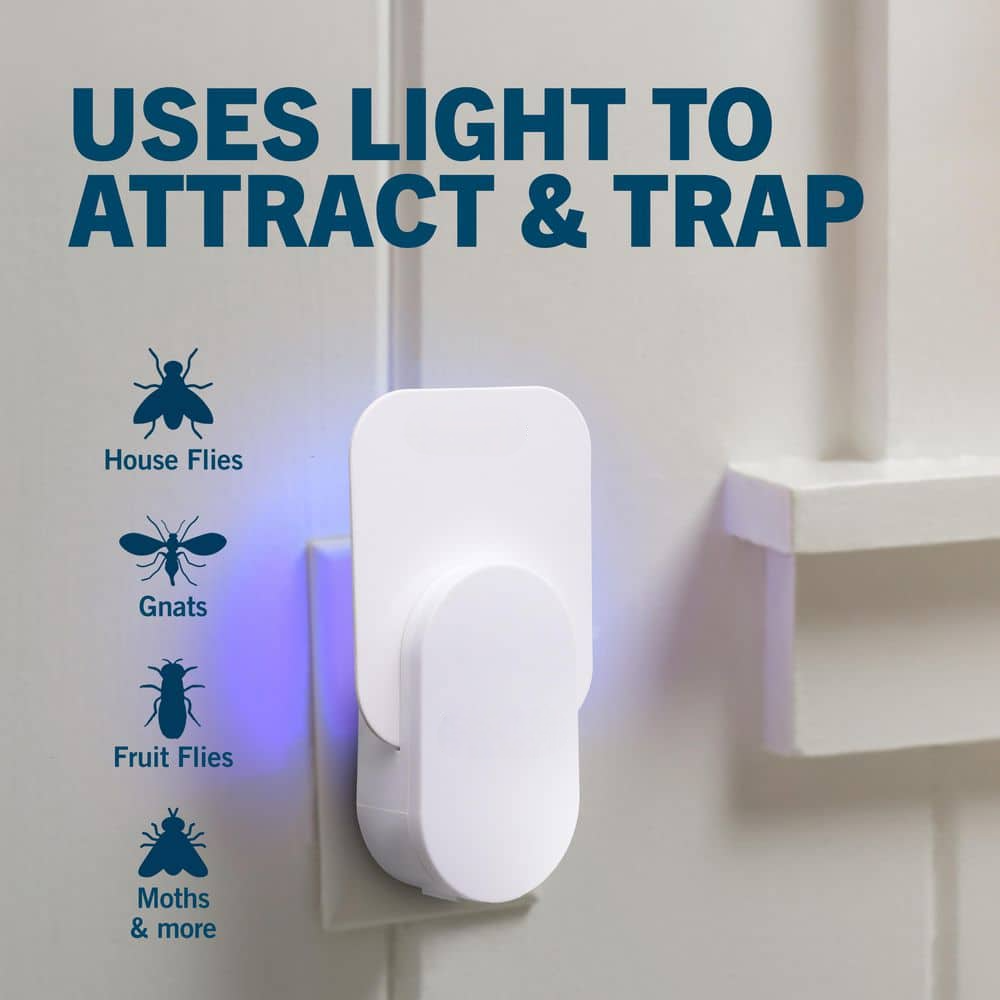 Mosquito Wall Trap + 2 Cards