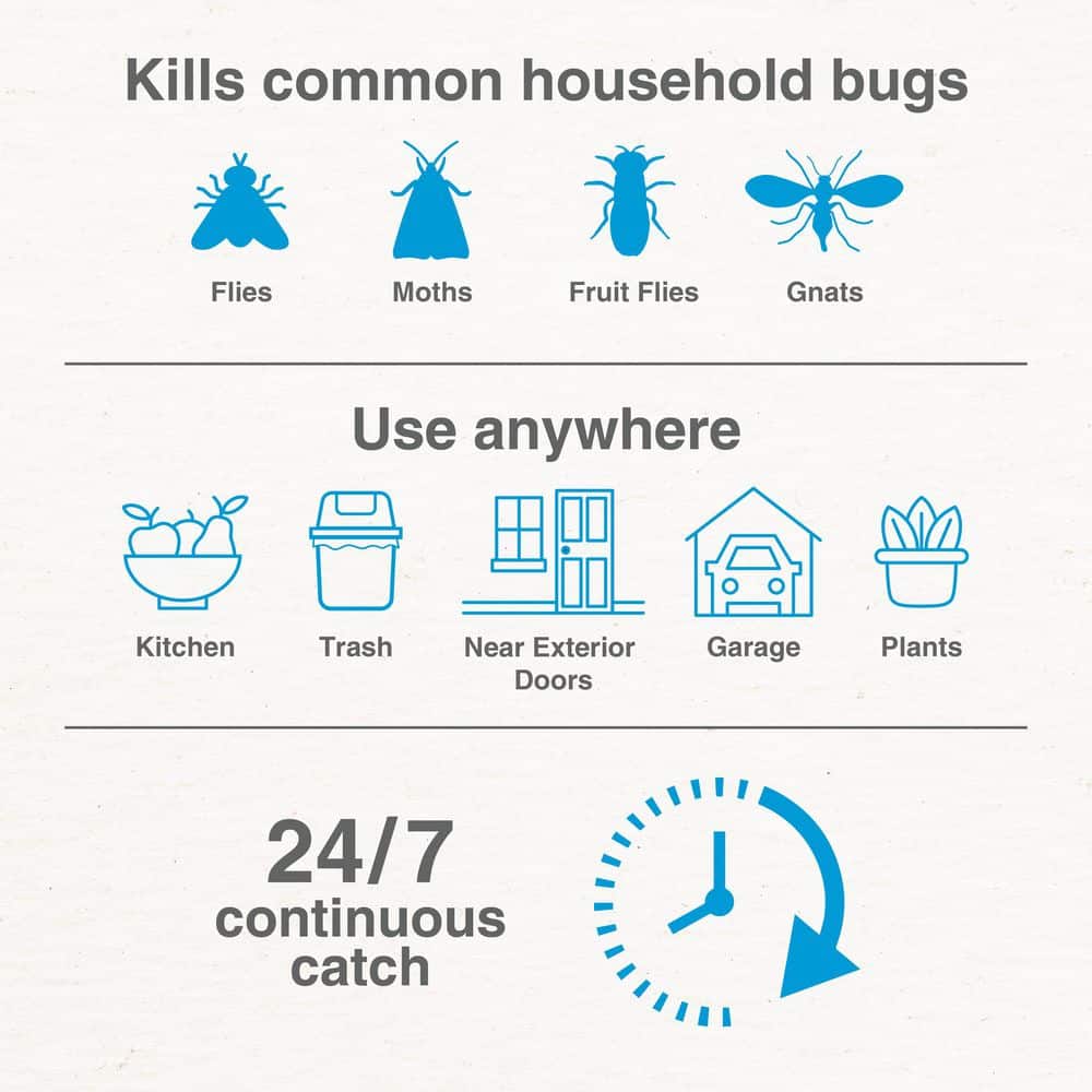 Mosquito Wall Trap + 2 Cards